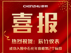 捷報(bào)鴻喜 辰竹儀表兩個(gè)標(biāo)段成功入圍2021年度中石化采購(gòu)框架