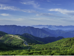 聚光科技碳監(jiān)測(cè)助力實(shí)現(xiàn)“碳達(dá)峰”和“碳中和”目標(biāo)