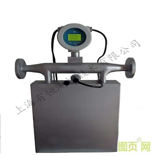 有恒質(zhì)量流量計(jì)_副本