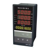 溫州新樂(lè)儀器儀表_XWP-LES80智能流量積算儀
