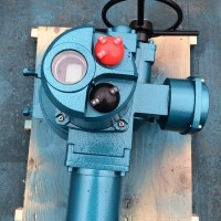 Q20-1W/Z 整體式電動機(jī)構(gòu)