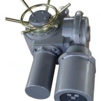 DZW60-24-A00-WK整體式電動閥門