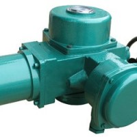 閥門執(zhí)行機(jī)構(gòu)F-DQW300-1