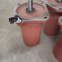 防爆型電動機(jī)YBDF-WF322-4 防水型