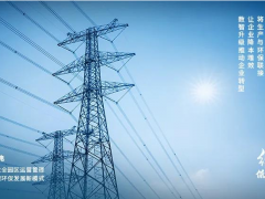 實(shí)現(xiàn)碳達(dá)峰 邁向碳中和 大華股份助力實(shí)現(xiàn)“雙碳”目標(biāo)綠色發(fā)展