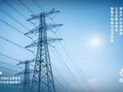 錨定“雙碳”目標(biāo)，大華股份蹄疾步穩(wěn)踐行綠色發(fā)展