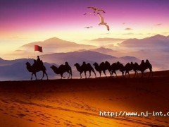 智慧制造 賦能未來丨柬埔寨馬德望海螺光伏儲能電站項(xiàng)目并網(wǎng)發(fā)電