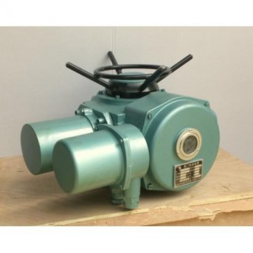 DZW15-24-A00-DS1 95典設(shè)型閥門電動