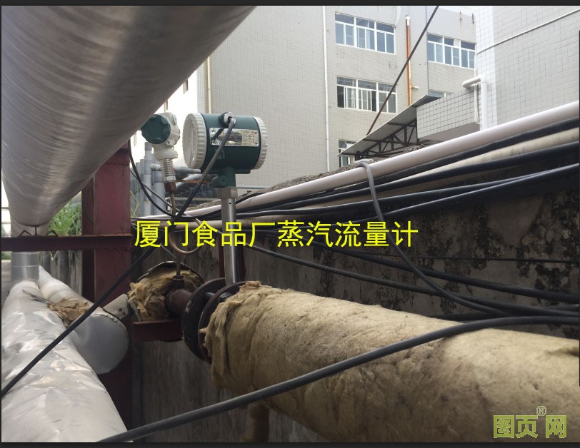 食品廠蒸汽流量計(jì) 食品廠蒸汽流量計(jì)