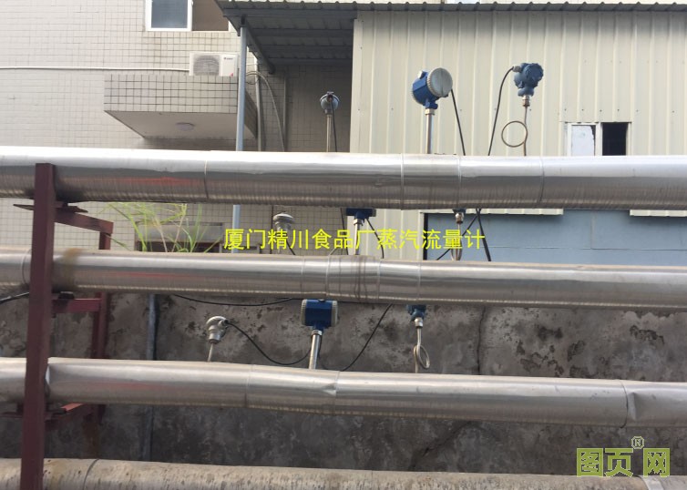 福建食品蒸汽流量計(jì) 福建食品蒸汽流量計(jì)