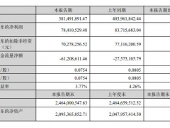 三川智慧上半年凈利潤7841.05萬，同比下降6.34%