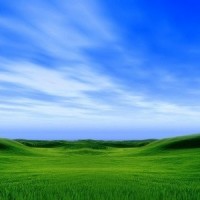 2025山東醫(yī)療器械展|2025第53屆山東秋季醫(yī)療器械展