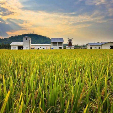 2023中國鄭州國際有機食品產(chǎn)業(yè)展覽