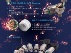 百夫長傳感技術(shù)（深圳）有限公司 總經(jīng)理 趙勇 2023年新春寄語