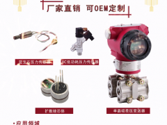 上海朝輝壓力儀器有限公司 營(yíng)銷總監(jiān) 彭義 2023年新春寄語(yǔ)