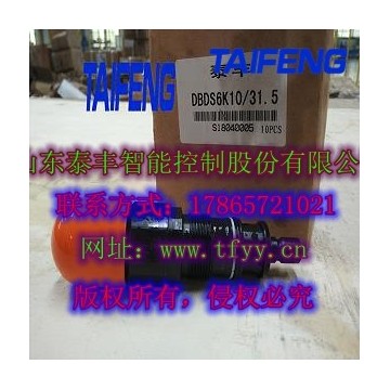 泰豐直動式溢流閥DBDS10K現(xiàn)貨批量供