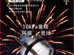 山東佰測(cè)傳感科技股份有限公司  副總經(jīng)理 侯欣  2023年新春寄語