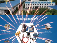 承德市本特思達(dá)儀表有限公司 總經(jīng)理 李冬梅 2023年新春寄語