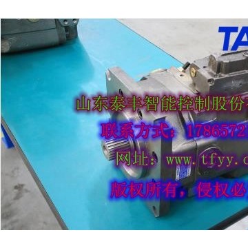 泰豐負(fù)載敏感泵TFB1V80Y/1X恒功率右
