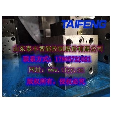 泰豐直銷TLFA50DBWAT-7X插裝閥蓋板