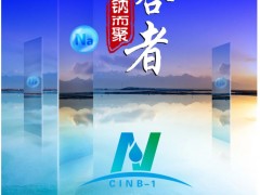 【參會指南】超200家單位報名，五十六場精彩報告，共同開啟鈉電盛會