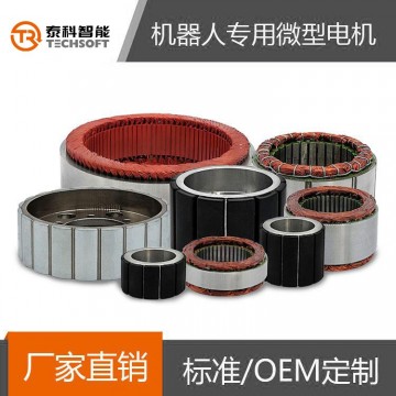 深圳泰科智能機(jī)器人關(guān)節(jié)無(wú)刷直流伺