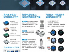 德爾森在單晶硅傳感器領(lǐng)域的領(lǐng)導地位及其應(yīng)用領(lǐng)域