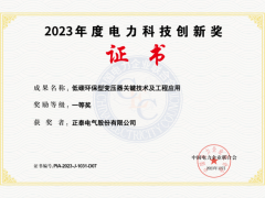 正泰電氣斬獲新榮譽(yù)：電力科技創(chuàng)新一等獎