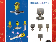 北京北方華瑞測控技術(shù)有限公司 銷售總監(jiān) 楊子 2024年新春寄語