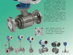 安徽智的儀表入刊上海世環(huán)會(huì)特刊《儀表與測(cè)量控制》系列客戶報(bào)道20