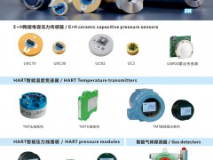 上海德薩堡傳感器入刊上海世環(huán)會(huì)特刊《儀表與測(cè)量控制》系列客戶報(bào)道21