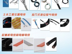 盛邦電線電纜入刊上海世環(huán)會(huì)特刊《儀表與測量控制》系列客戶報(bào)道44