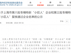 喜訊！上?？咸赝ㄟ^(guò)國(guó)家專精特新“小巨人”復(fù)核