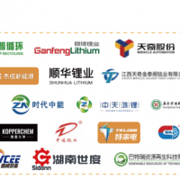 2025國(guó)際退役動(dòng)力電池、風(fēng)光組件資源化循環(huán)利用技術(shù)論壇