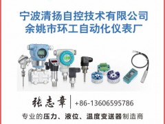 余姚市環(huán)工自動化儀表廠成為《2025年儀表摜蛋撲克牌》紅桃2得主-系列報道8