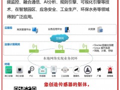 深圳云塔物聯(lián)成為《2025年儀表?yè)サ皳淇伺啤穫溆门频弥?系列報(bào)道58
