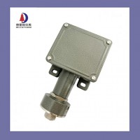 差壓開關(guān)控制器GYP-C德里奇儀表