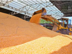 上榜“2025四川省綜合競爭力百強鎮(zhèn)” 仁壽縣這兩個鄉(xiāng)鎮(zhèn)憑什么？