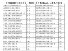 中國儀器儀表企業(yè)排名，按2024年?duì)I收(億元)，A股上市公司